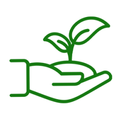 eco-friendly1.png
